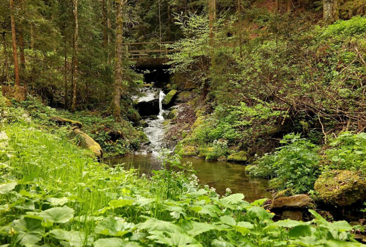 Ferienwohnungen Raczkowski Birkfeld Exterior foto