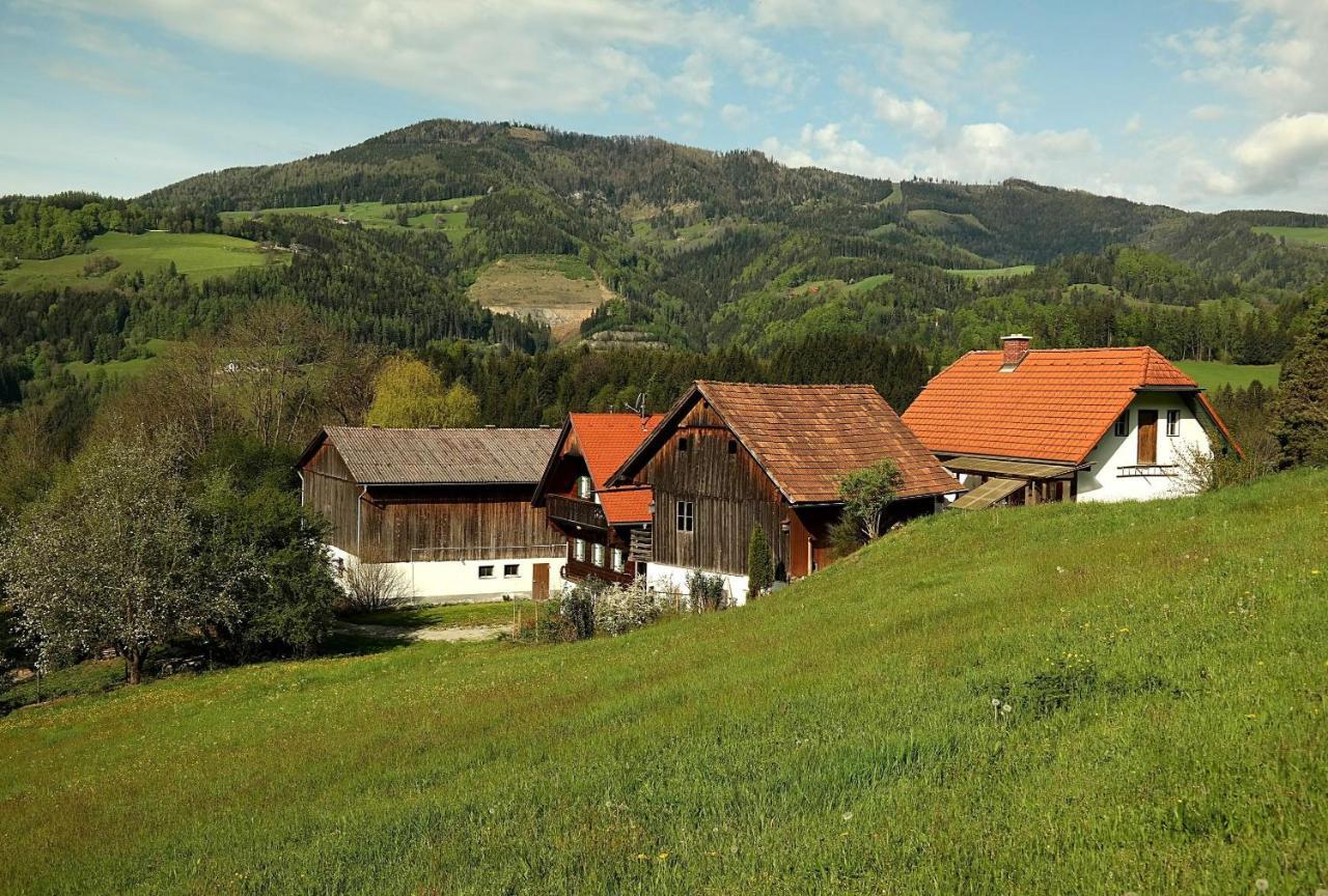 Ferienwohnungen Raczkowski Birkfeld Exterior foto