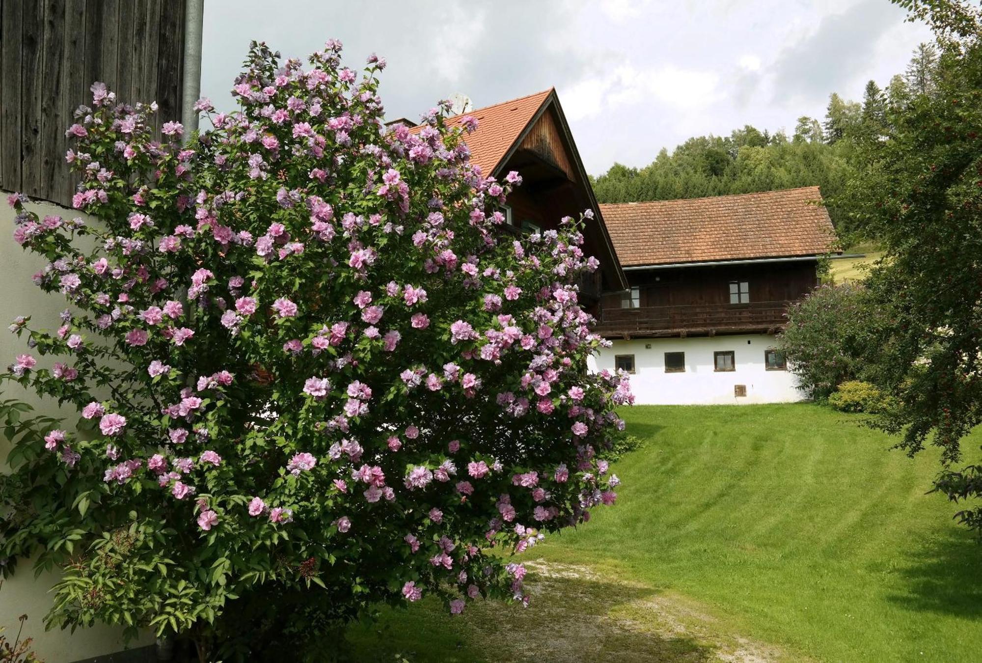 Ferienwohnungen Raczkowski Birkfeld Exterior foto